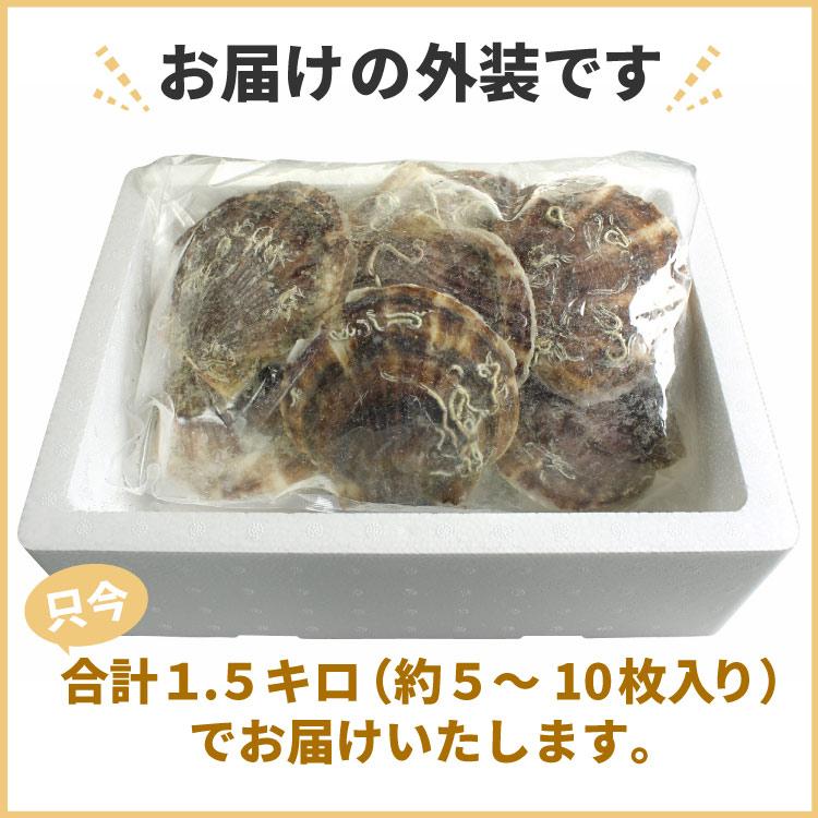 殻付き 北海道産 ホタテ 合計1.5キロ ほたて 冷凍 業務用パック 送料無料（沖縄宛は別途送料を加算） |  | 15