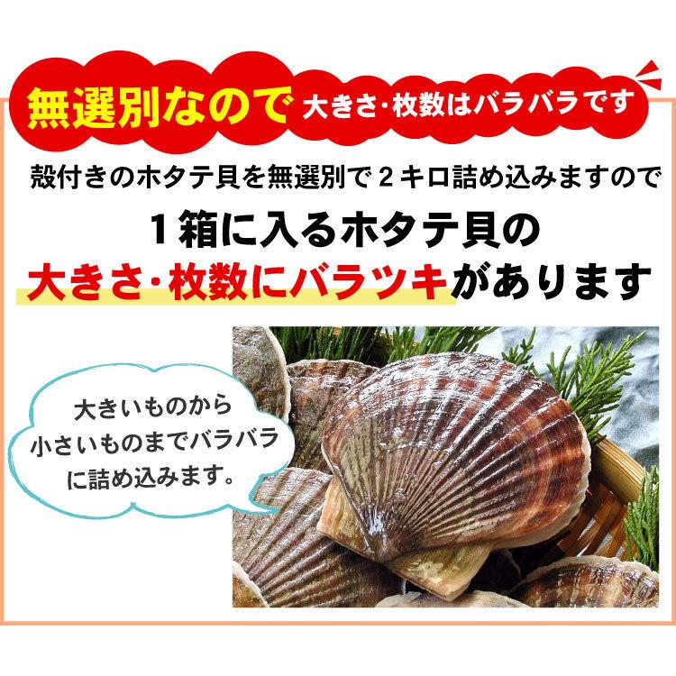 殻付き北海道別海野付産ホタテ ほたて 送料無料 業務用パック ホタテ大量2キロ Kth 2 厳選 北海道グルメ かに匠 通販 Yahoo ショッピング