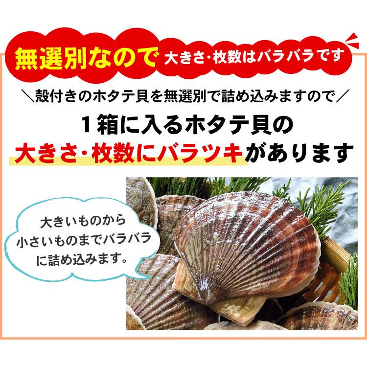 殻付き 北海道産 ホタテ 合計1.5キロ ほたて 冷凍 業務用パック 送料無料（沖縄宛は別途送料を加算） |  | 08