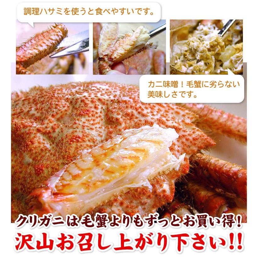 北海道産 クリガニ クリ毛ガニ 約4kg 約22尾前後入り クリ毛蟹 クリ毛がに クリけがに 蟹 カニ かに 送料無料 ギフト 送料無料 Kug 4k 厳選 北海道グルメ かに匠 通販 Yahoo ショッピング