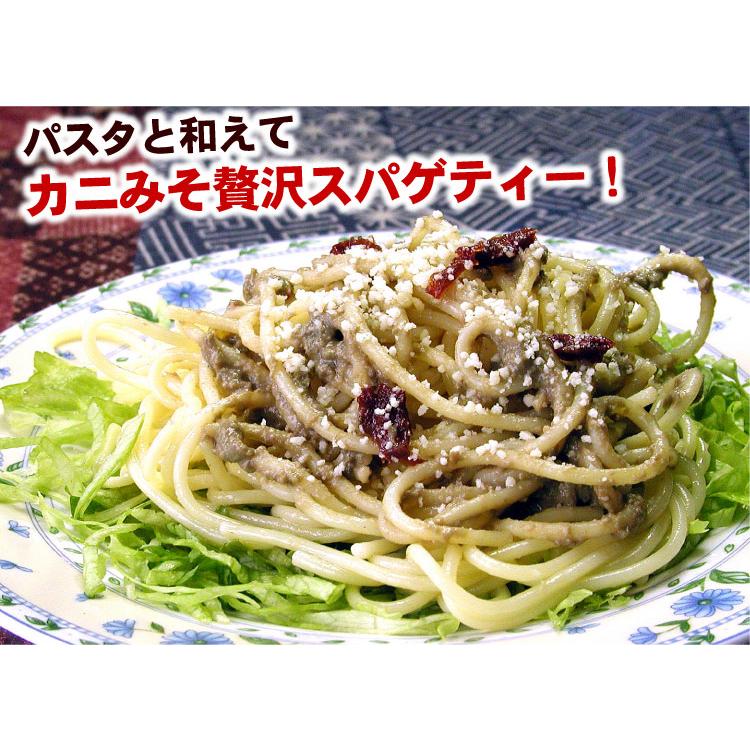 かにみそ 業務用 300g チューブタイプ カニ味噌 蟹味噌 常温保存 絞るだけ簡単 使いやすい 大容量 メール便 送料無料（代引/着日指定/同梱不可） |  | 08