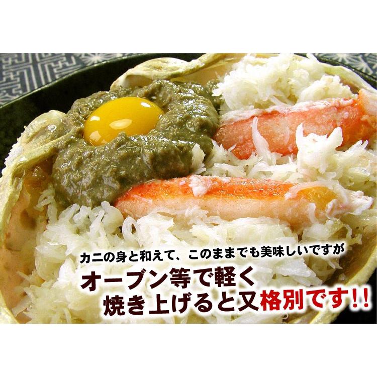 かにみそ 業務用 300g チューブタイプ カニ味噌 蟹味噌 常温保存 絞るだけ簡単 使いやすい 大容量 メール便 送料無料（代引/着日指定/同梱不可） |  | 09