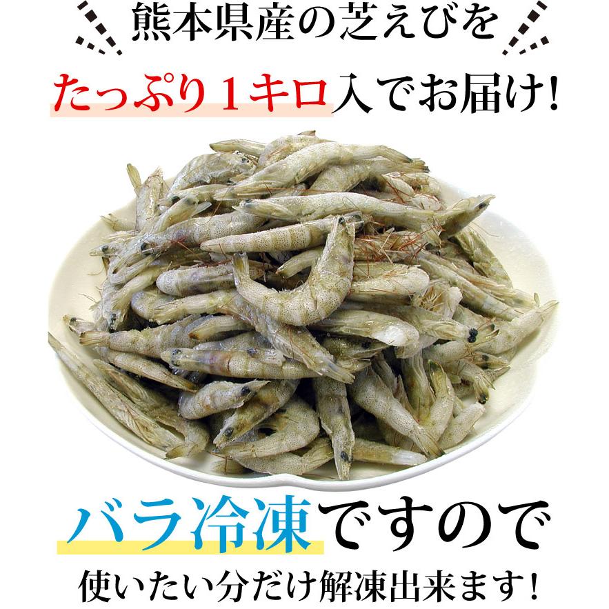 熊本県産 芝えび 合計1kg（約120-150尾前後）国産 芝海老 シバエビ 芝エビ 生冷凍 釣り餌 IQF冷凍 ギフト お歳暮 送料無料（沖縄宛は別途送料を加算） |  | 02