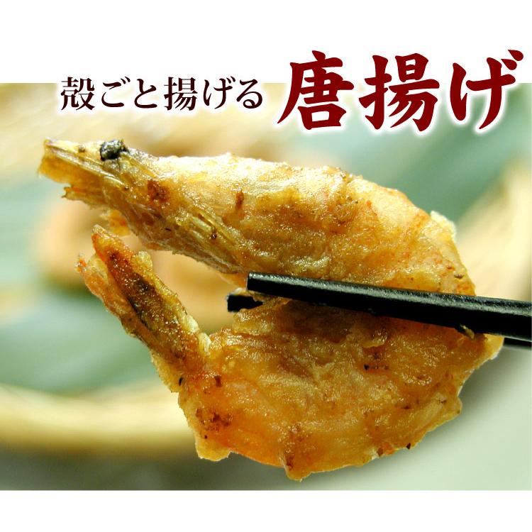 熊本県産 芝えび 合計1kg（約120-150尾前後）国産 芝海老 シバエビ 芝エビ 生冷凍 釣り餌 IQF冷凍 ギフト お歳暮 送料無料（沖縄宛は別途送料を加算） |  | 03