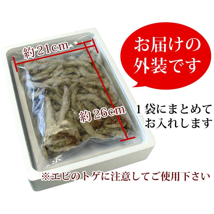 熊本県産 芝えび 合計1kg（約120-150尾前後）国産 芝海老 シバエビ 芝エビ 生冷凍 釣り餌 IQF冷凍 ギフト お歳暮 送料無料（沖縄宛は別途送料を加算） |  | 05