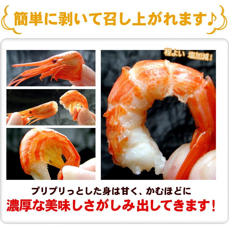 北海道産 北海しまえび （SSサイズ ）合計800g（約80-130尾前後）シマエビ えび 海老 エビ 送料無料（沖縄宛は別途送料を加算） |  | 04