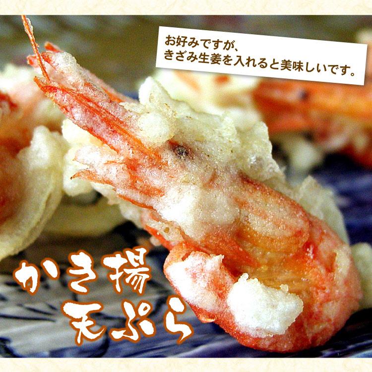 北海道産 北海しまえび （SSサイズ ）合計800g（約80-130尾前後