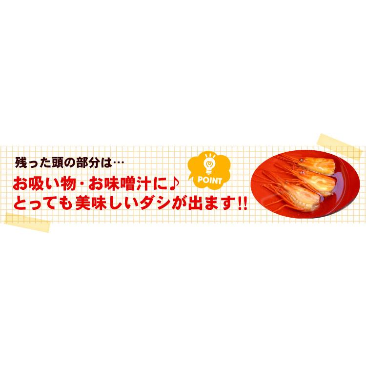 北海道産 北海しまえび （SSサイズ ）合計800g（約80-130尾前後）シマエビ えび 海老 エビ 送料無料（沖縄宛は別途送料を加算） |  | 09
