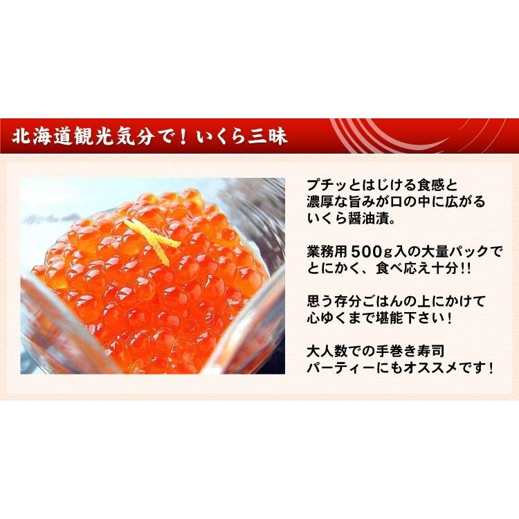 鮭 いくら 醤油漬 500g イクラ 醤油漬け お取り寄せグルメ 海鮮 送料無料（沖縄宛は別途送料を加算） |  | 04