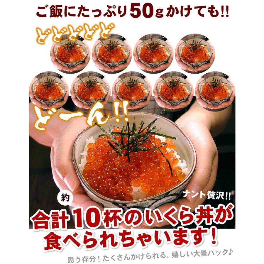 鮭 いくら 醤油漬 500g イクラ 醤油漬け お取り寄せグルメ 海鮮 送料無料（沖縄宛は別途送料を加算） |  | 06