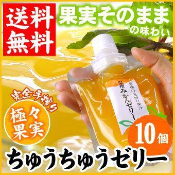 極々果実 ちゅうちゅうゼリー 10個セット 送料無料 ゼリー お取り寄せ