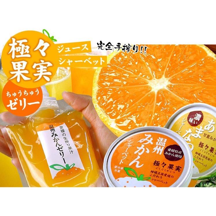 ちゅうさん専用130品物とおまけ 極々果実 ちゅうちゅうゼリー 20個セット 送料無料 ゼリー お取り寄せ