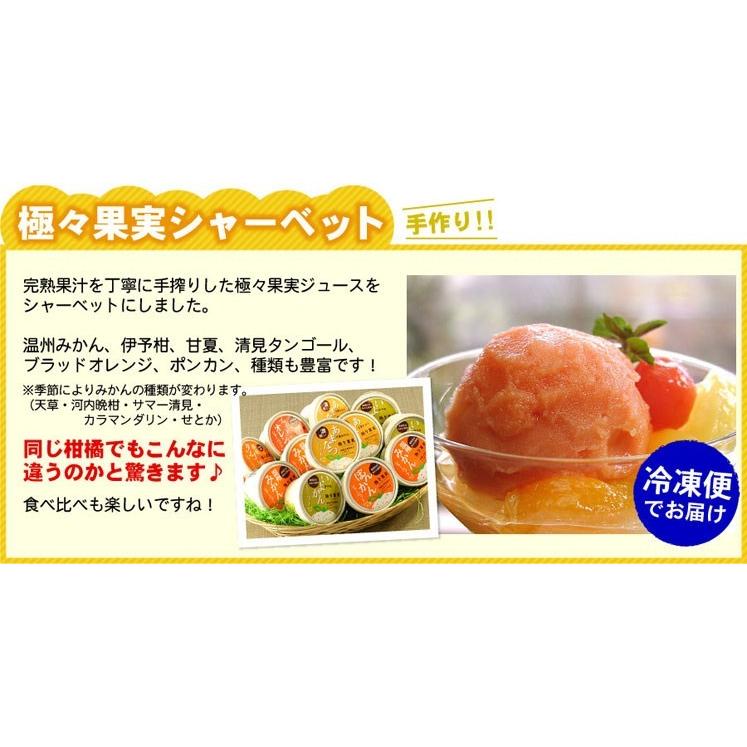 極々果実 シャーベット 12個セット 送料無料 お取り寄せ 贈り物 食べ物