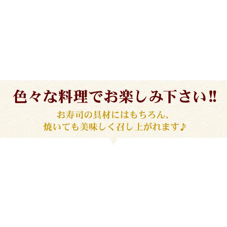 生食可 お刺身用 つぶ貝 開き 2Lサイズ 合計400g（200g×2ケース）刺身 ツブ貝 寿司 生つぶ貝 冷凍 おつまみ 送料無料（沖縄宛は別途送料を加算） |  | 04