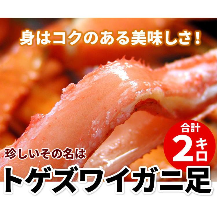 訳あり トゲズワイガニ脚 2kg 無選別 Sサイズ 業務用 ずわいがに ボイル 蟹 カニ かに 格安 お取り寄せグルメ 海鮮 送料無料（沖縄宛は別途送料を加算）｜oec-kanisho｜02