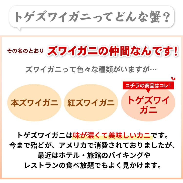 訳あり トゲズワイガニ脚 2kg 無選別 Sサイズ 業務用 ずわいがに ボイル 蟹 カニ かに 格安 お取り寄せグルメ 海鮮 送料無料（沖縄宛は別途送料を加算）｜oec-kanisho｜06