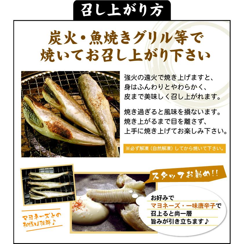 北海道産 一夜干し 氷下魚 こまい コマイ カンカイ 合計1kg（500g×2箱）珍味 乾 おつまみに 送料込（沖縄宛は別途送料を加算） |  | 10