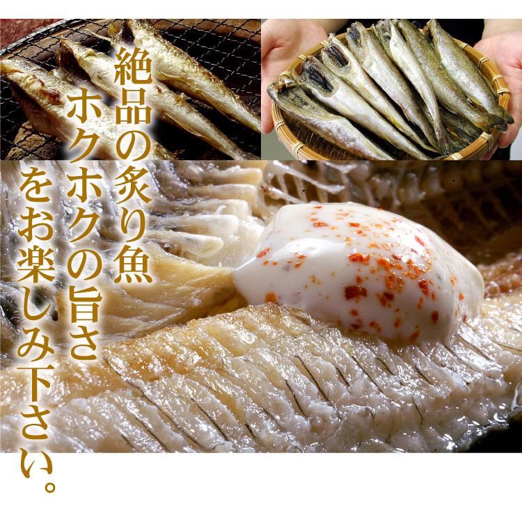 北海道産 一夜干し 氷下魚 こまい コマイ カンカイ 合計1kg（500g×2箱）珍味 乾 おつまみに 送料込（沖縄宛は別途送料を加算） |  | 11