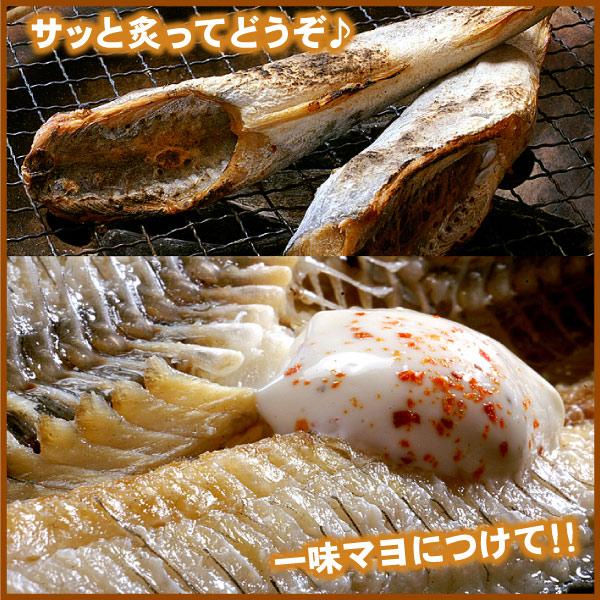 北海道産 一夜干し 氷下魚 こまい コマイ カンカイ 合計1kg（500g×2箱）珍味 乾 おつまみに 送料込（沖縄宛は別途送料を加算） |  | 01