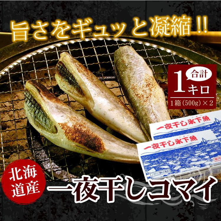 北海道産 一夜干し 氷下魚 こまい コマイ カンカイ 合計1kg（500g×2箱）珍味 乾 おつまみに 送料込（沖縄宛は別途送料を加算） |  | 03