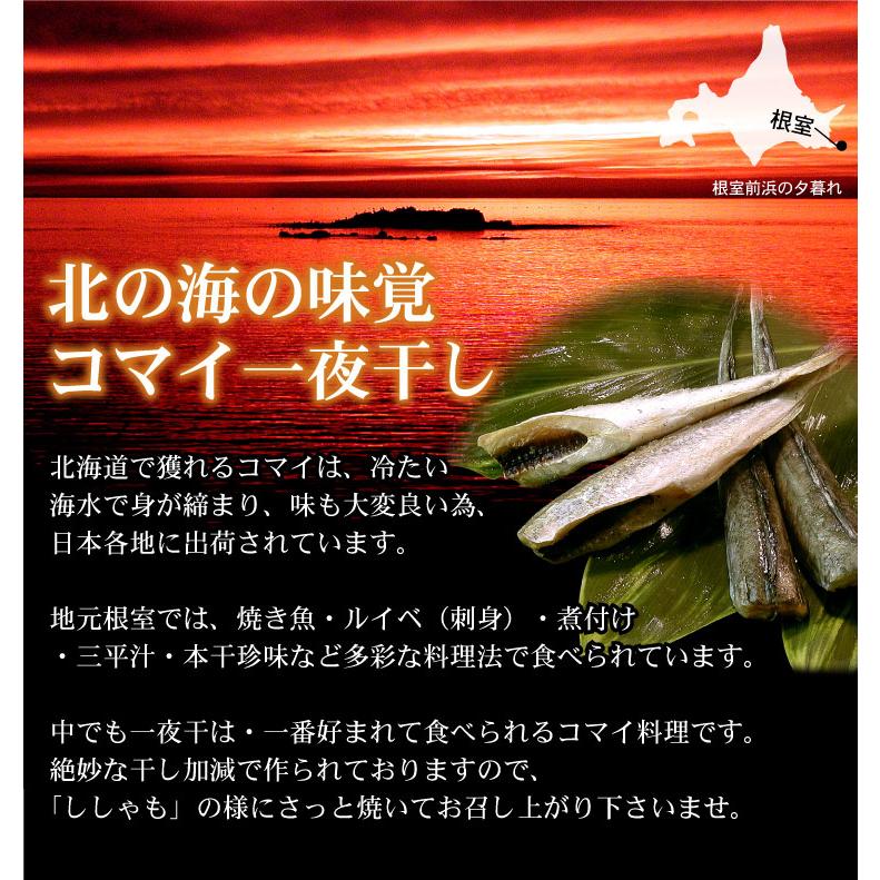 北海道産 一夜干し 氷下魚 こまい コマイ カンカイ 合計1kg（500g×2箱）珍味 乾 おつまみに 送料込（沖縄宛は別途送料を加算） |  | 05