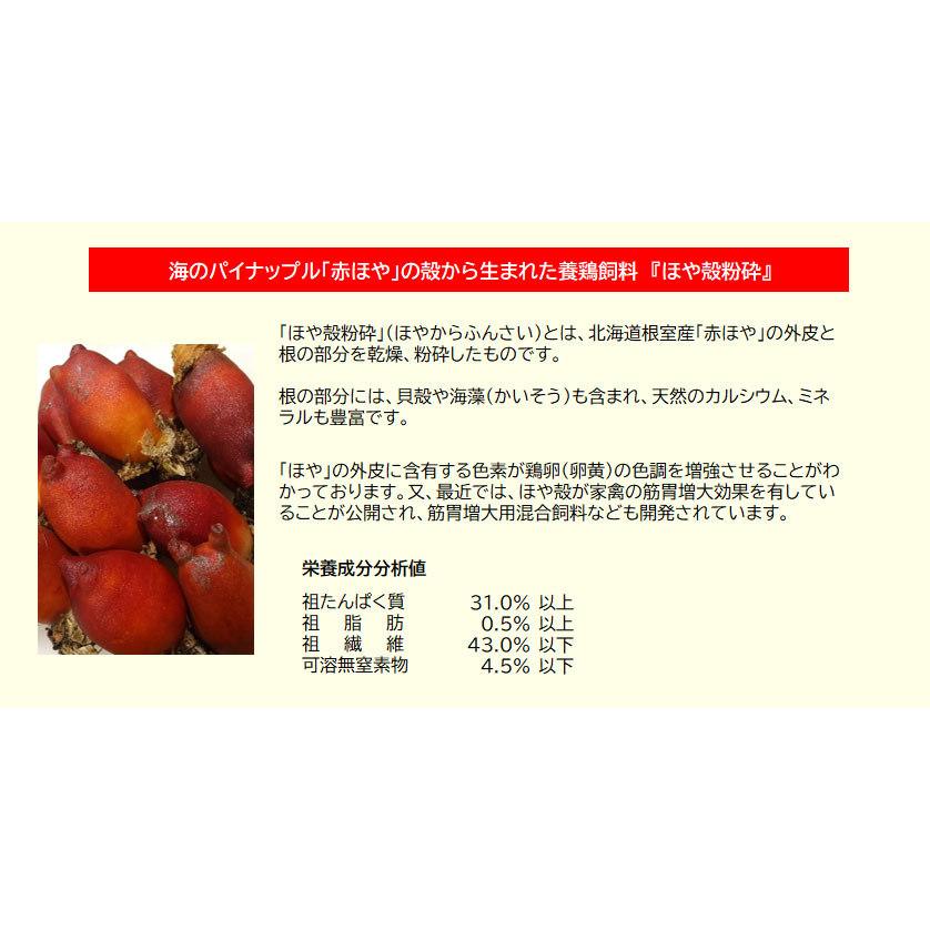 混ぜて与える養鶏飼料 ほや殻粉砕（成鶏用）20キロ 送料無料　混ぜて与える養鶏飼料 ほやからふんさい 鶏卵色調 筋胃増大 家禽 吉田水産 センウロコ_2