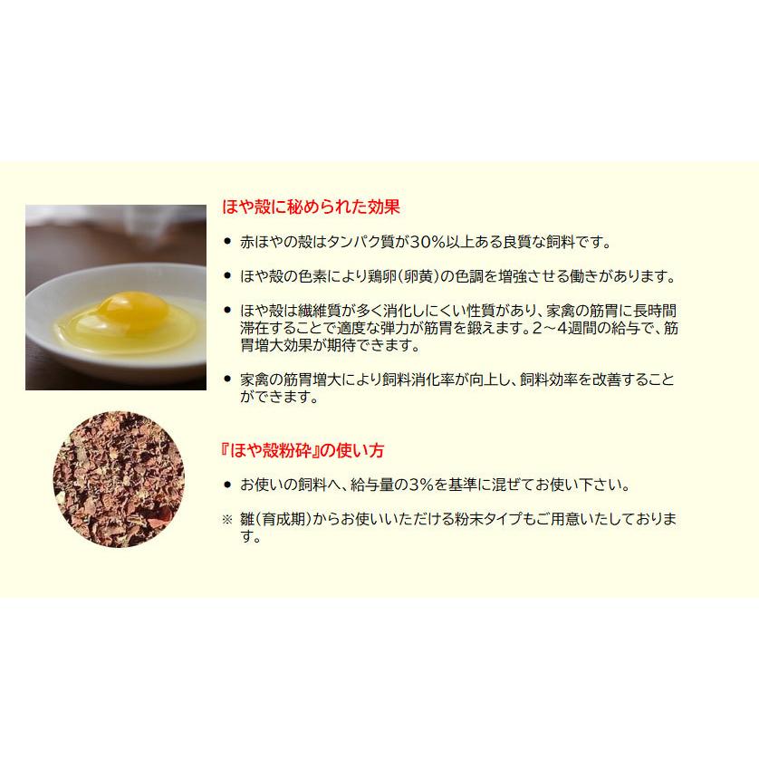 混ぜて与える養鶏飼料 ほや殻粉砕（成鶏用）20キロ 送料無料　混ぜて与える養鶏飼料 ほやからふんさい 鶏卵色調 筋胃増大 家禽 吉田水産 センウロコ_3