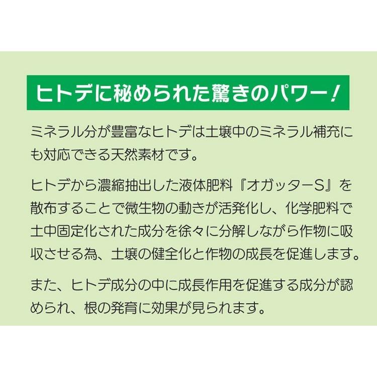 オガッターS キュービテナー 10L　ヒトデ抽出液 植物活性剤 有機JAS規格別表１適合資材 送料無料（沖縄宛は別途送料を加算） 人気・おすすめ｜使いやすい・旅行におすすめ 品質保証 全国発送 日本国内発送・最短翌日お届け