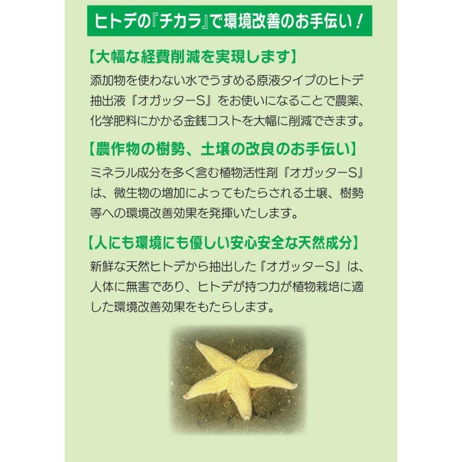 オガッターS キュービテナー 10L　ヒトデ抽出液 植物活性剤 有機JAS規格別表１適合資材 送料無料（沖縄宛は別途送料を加算） 人気・おすすめ｜使いやすい・旅行におすすめ 品質保証 全国発送 日本国内発送・最短翌日お届け