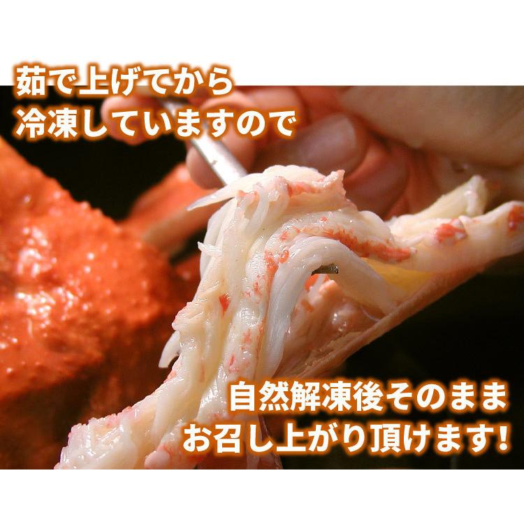 業務用大箱 本ズワイガニ 姿 大量3キロ箱（5-7尾入） カニ 蟹 かに  