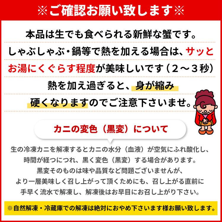 まとめ買いクーポン カニ生食可 大〜中サイズ 本ずわい蟹 かにしゃぶ 合計500g入 ズワイガニ ズワイ蟹 カニ ポーション 海鮮 送料無料（沖縄宛は別途送料） |  | 08