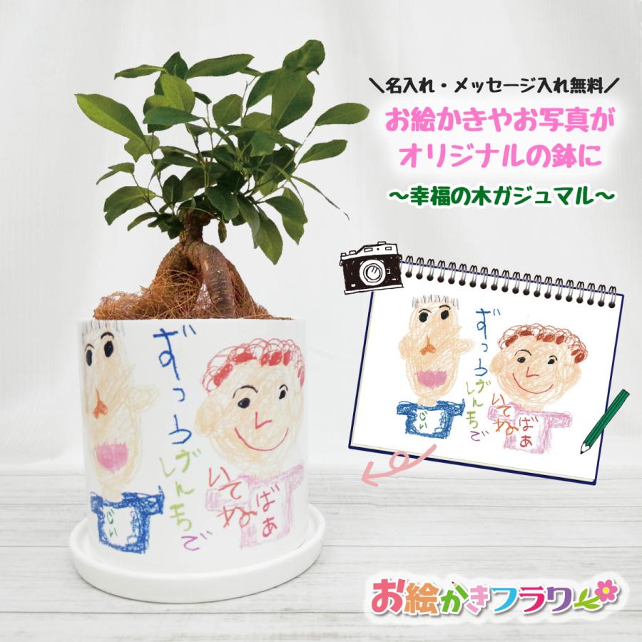 LINEで簡単 ガジュマル 観葉植物 写真入り お絵かき プレゼント 名入れ