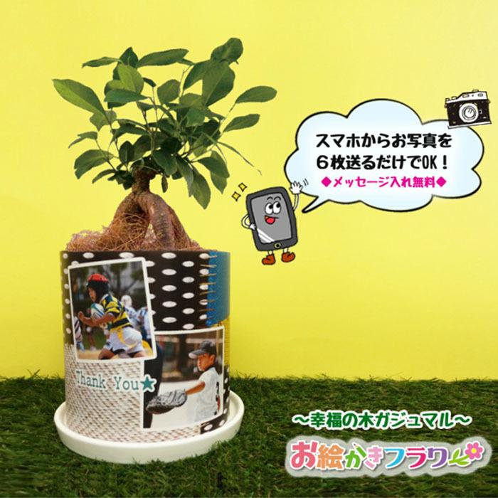 送料無料 花 観葉植物 花鉢 写真入り 名入れ 父の日 敬老の日 卒園記念品 母の日 誕生日 プレゼント ギフト 孫 子ども フラワーギフト ガジュマル Gaju2 お絵かき水筒yahoo 店 通販 Yahoo ショッピング