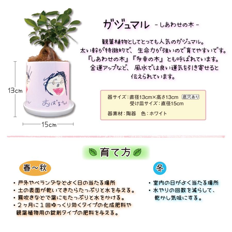 LINEで簡単 ガジュマル 観葉植物 写真入り お絵かき プレゼント 名入れ