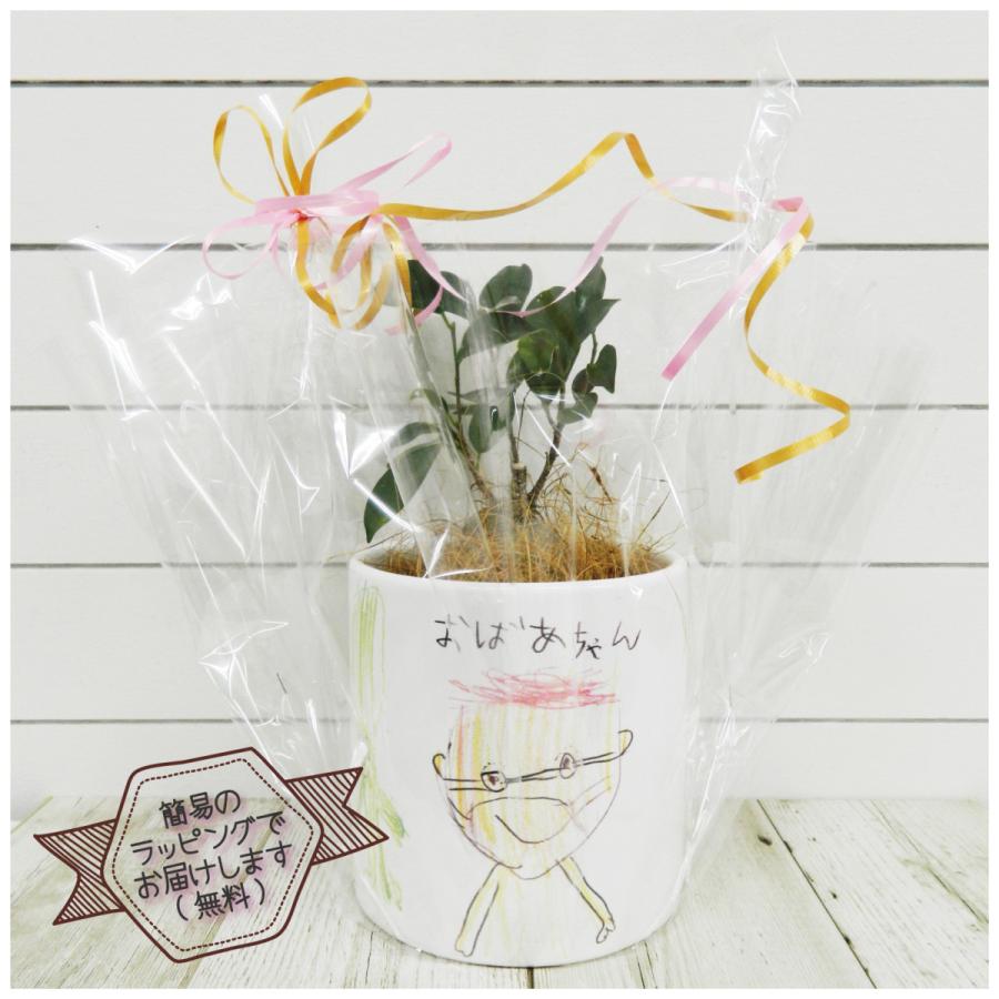LINEで簡単 ガジュマル 観葉植物 写真入り お絵かき プレゼント 名入れ