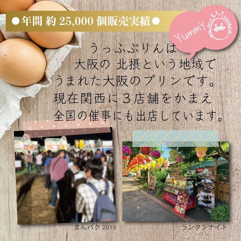 うっふチーズ 5個入り 冷凍 5 1 大阪プリン専門店 うっふぷりん 通販 Yahoo ショッピング