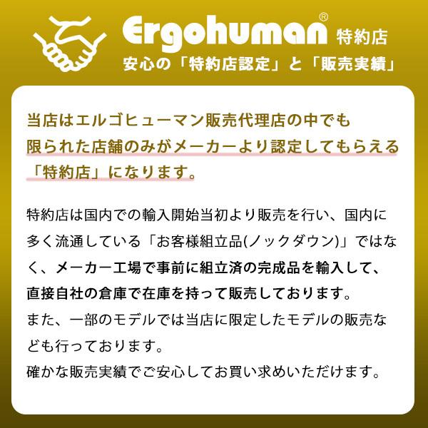 期間中ポイント10倍 完成品 即納 エルゴヒューマン ベーシック ヘッドレスト付 梱包材を無料で処分 家財便配送 高機能メッシュチェア Eh Ham オフ Workaholic 通販 Yahoo ショッピング
