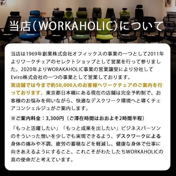 アーロンチェア リマスタード HermanMiller A/B/Cサイズ オニキス ウルトラマット 標準キャスター(BB) ポスチャーフィットSLフル装備｜of9｜13