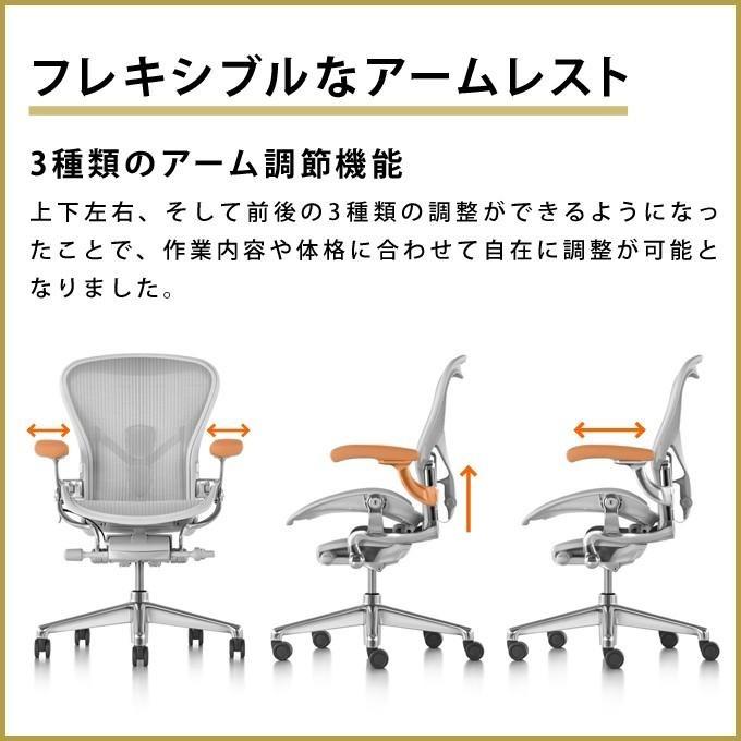 HermanMiller アーロンチェア リマスタード A B C ミネラルフレーム ポリッシュドアルミニウムベース ポスチャーフィットSLフル装備 アームパッド：ビニール_8
