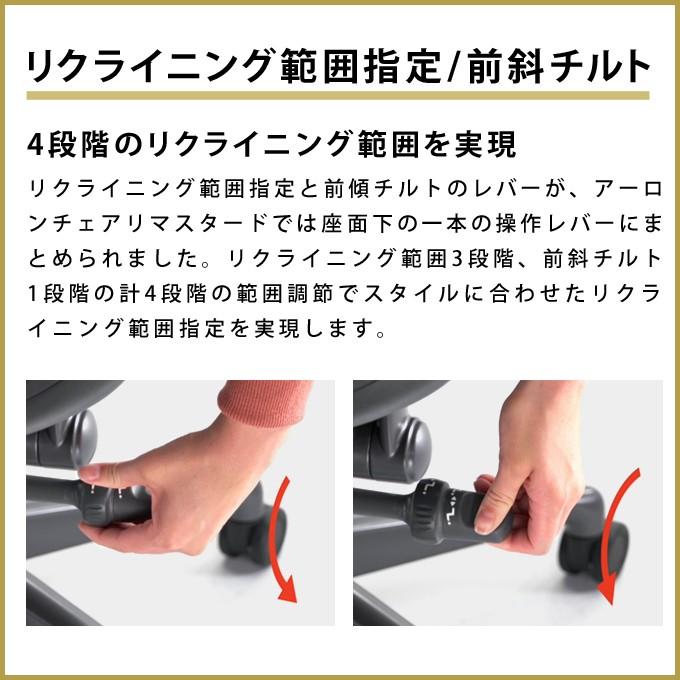 アーロンチェア リマスタード  HermanMiller A/B/C サイズ グラファイトフレーム グラファイトベース ポスチャーフィットSLフル装備 標準キャスターの画像