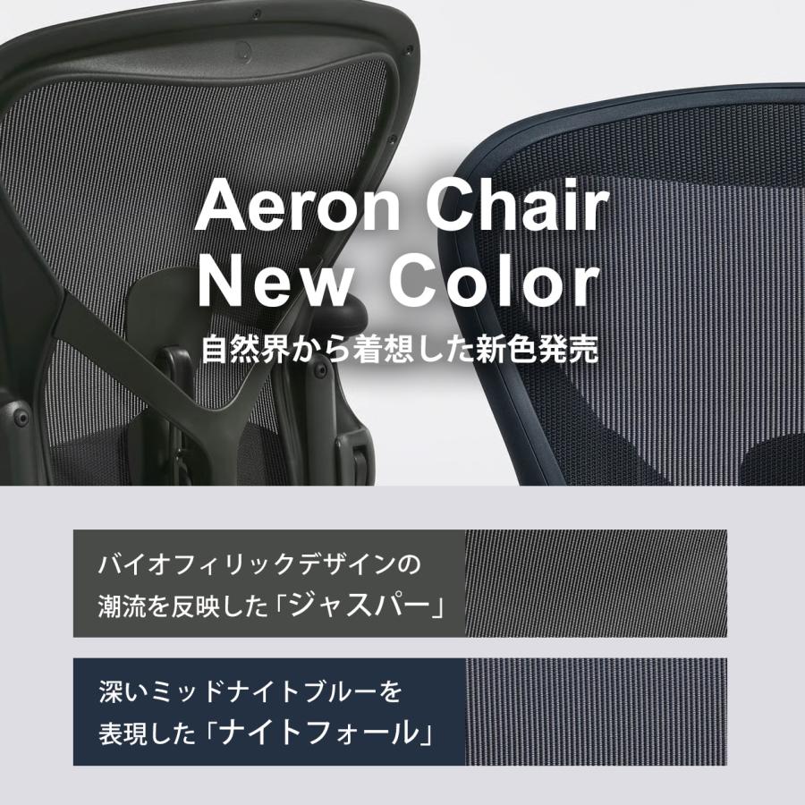 アーロンチェア リマスタード  HermanMiller A/B/C サイズ グラファイト オニキス ナイトフォール ジャスパー ポスチャーフィットSLフル装備 各種選択可能 | Herman Miller | 06