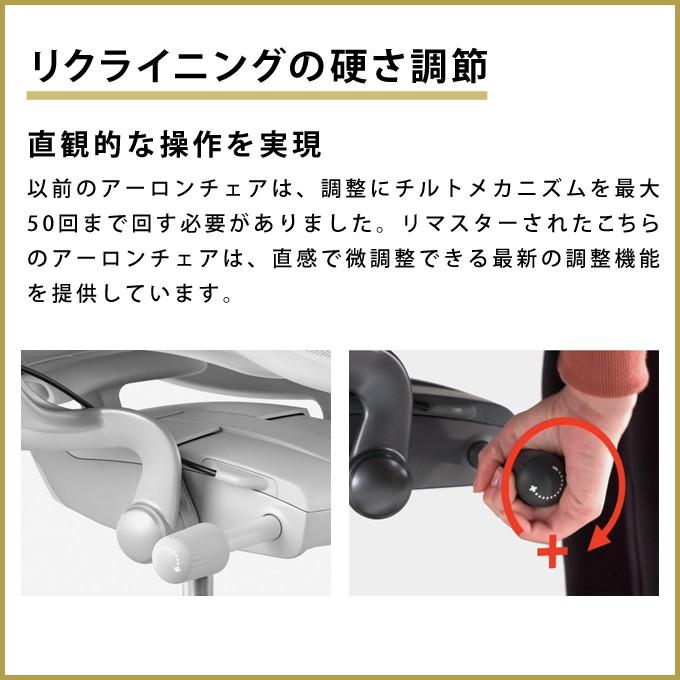 アーロンチェア リマスタード  HermanMiller A/B/C サイズ グラファイトフレーム グラファイトベース ポスチャーフィットSLフル装備 標準キャスター｜of9｜10