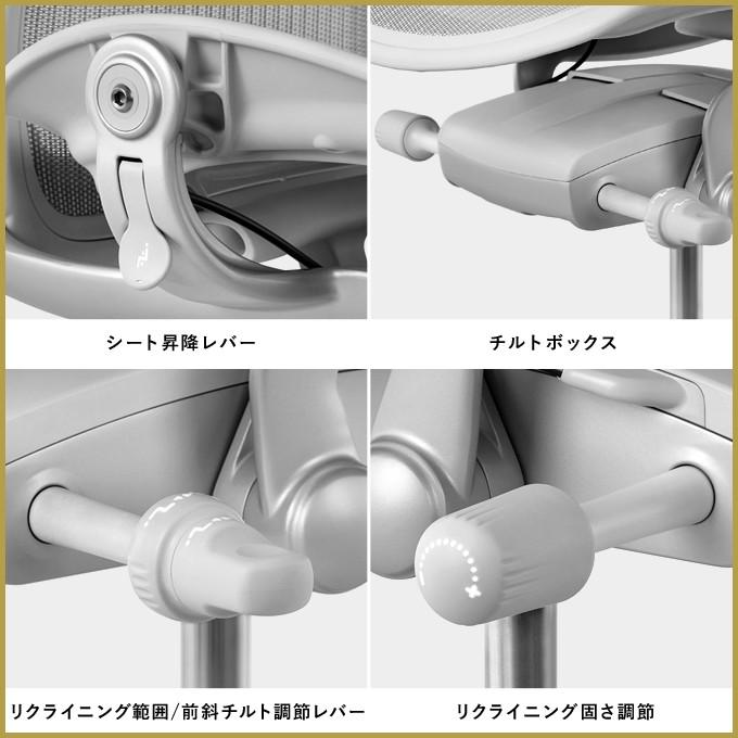 アーロンチェア リマスタード  HermanMiller A/B/C サイズ グラファイトフレーム グラファイトベース ポスチャーフィットSLフル装備 標準キャスターの画像