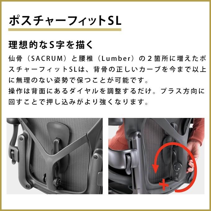 アーロンチェア リマスタード HermanMiller 　A/B/C サイズ カーボンフレーム サテンカーボンベース ポスチャーフィットSLフル装備  ブレーキングキャスター