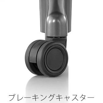 HermanMiller アーロンチェア リマスタード　A/B/C サイズ レザーアームパッド ポリッシュドアルミニウムベース グラファイトフレーム DC1キャスター_4