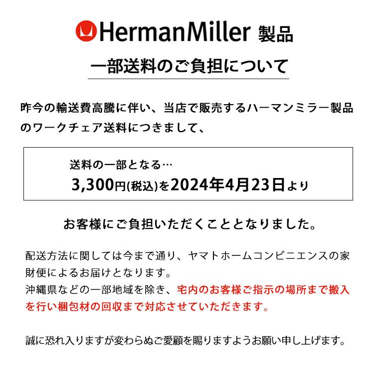 Herman Miller セイルチェア ランバーサポート付 サスペンション Herman Miller セイルチェア ランバーサポート付 サスペンション