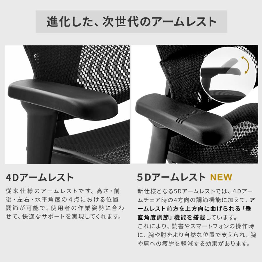 エルゴヒューマン（Ergohuman） フィット2 限定モデル・メーカー組立済