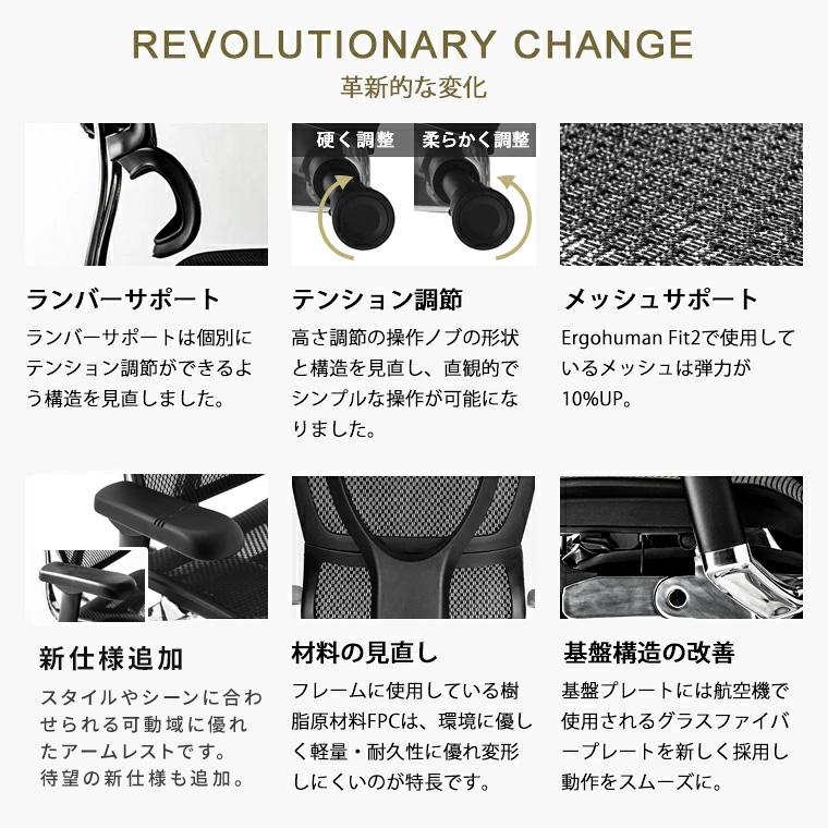 エルゴヒューマン フィット2 限定モデル・メーカー組立済完成品 Ergohuman Fit ヘッドレスト付 沖縄県・離島以外送料無料 | エルゴヒューマン | 08