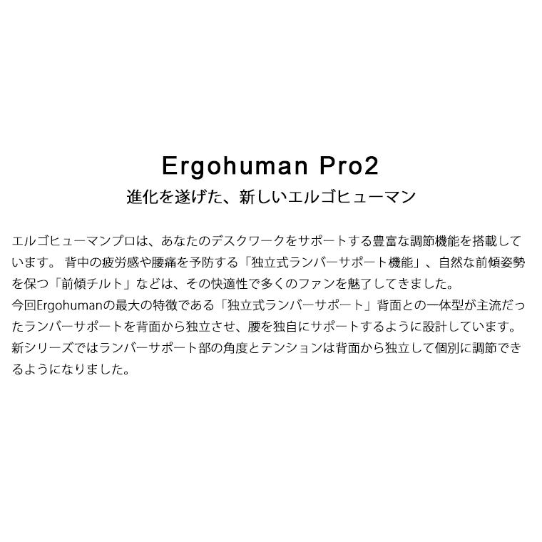 エルゴヒューマン プロ2 ヘッドレスト付 メーカー組立済完成品・梱包材回収 梱包材を無料で処分 家財便配送 アルミベースヘッドレスト 高機能メッシュチェア | エルゴヒューマン | 18