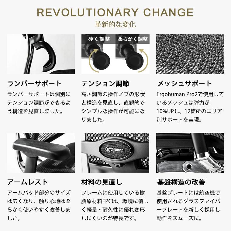 エルゴヒューマン プロ2 ヘッドレスト付 メーカー組立済完成品・梱包材回収 梱包材を無料で処分 家財便配送 アルミベースヘッドレスト 高機能メッシュチェア | エルゴヒューマン | 20
